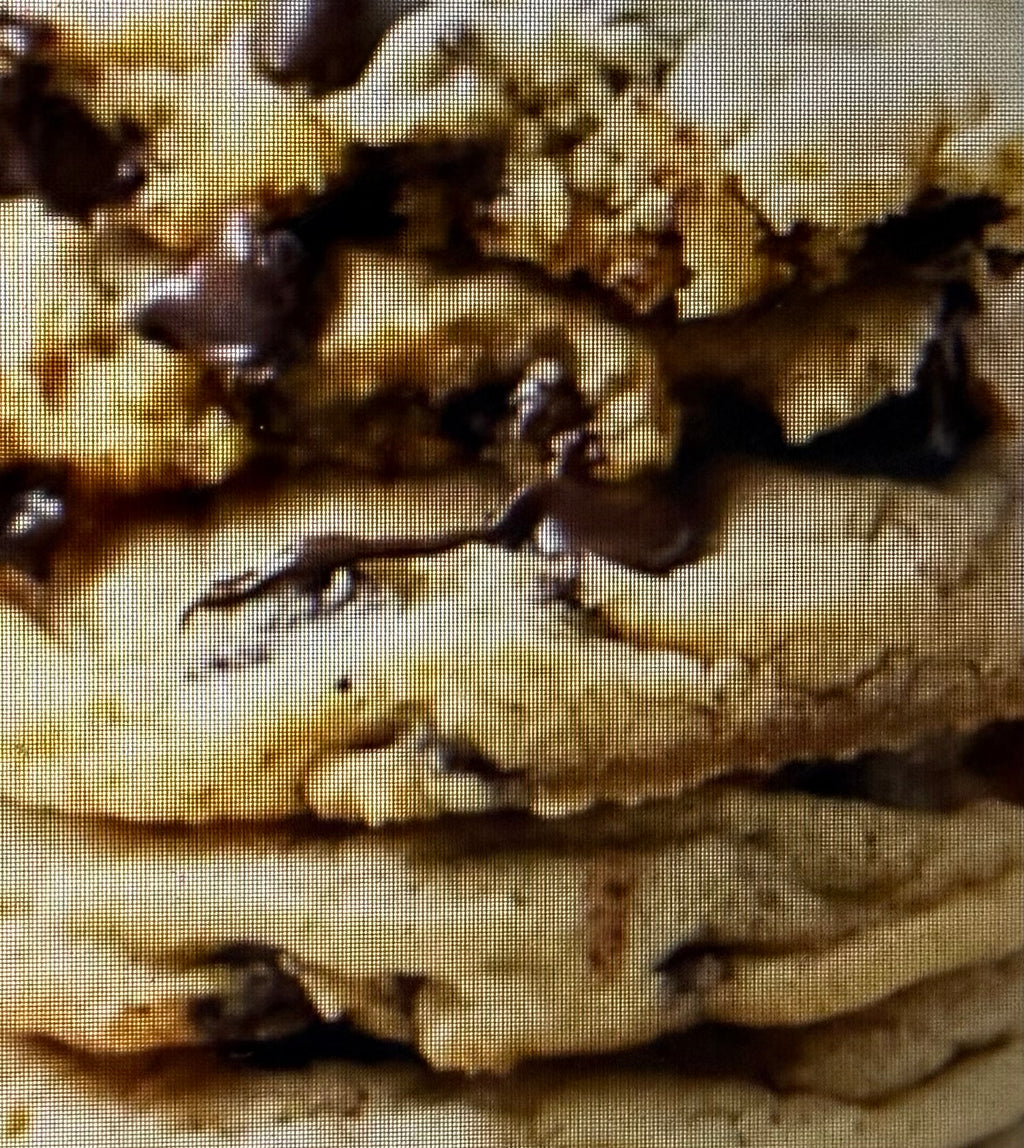 Classic Chocolate Chip Walnut Cookie
